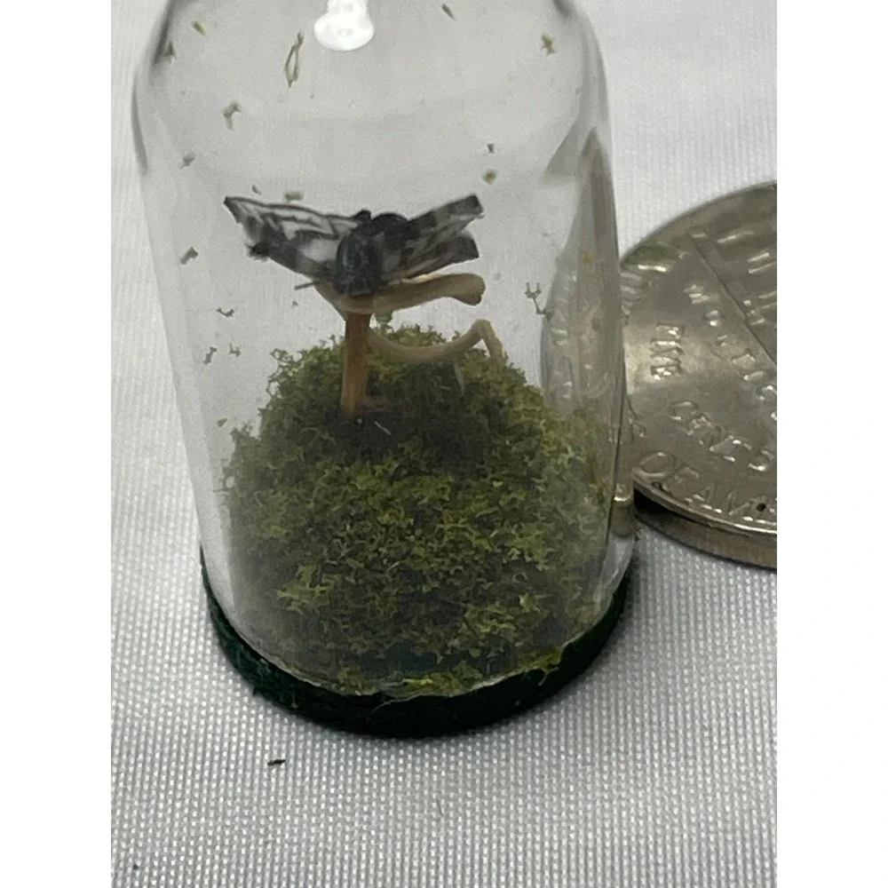 Unbranded Miniature‎ Butterfly Glass Dome Cloche Pale Swallowtail Tiny Diorama
